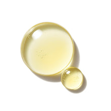 Vitamin C, E, Niacinamide & Ferulic Acid Serum - NEXT BEAUTY LABS